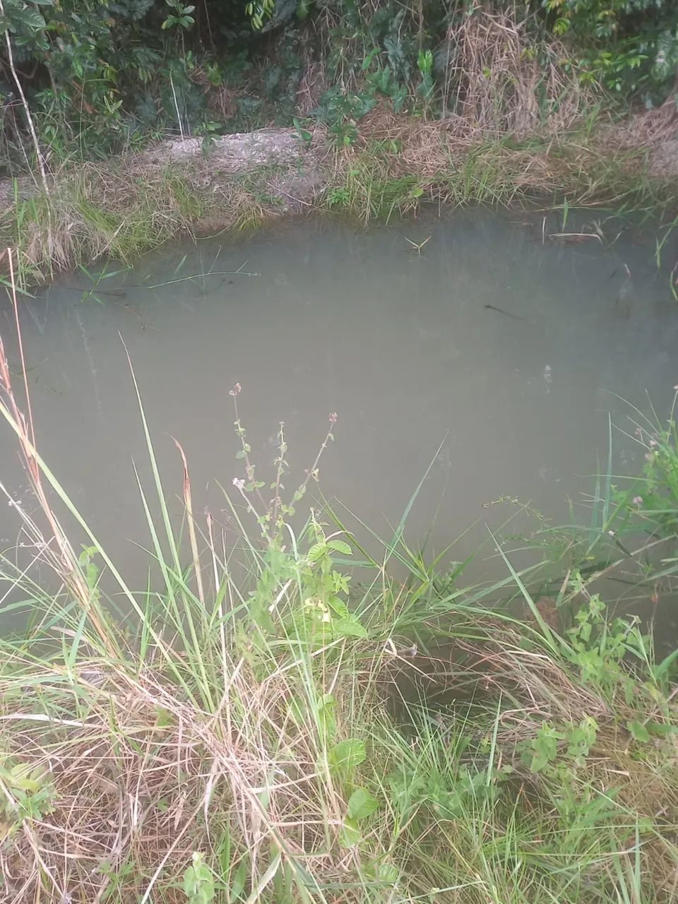 Terreno em salgado  - Foto 5