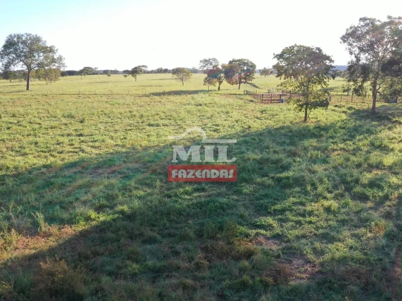 Fazenda Extra em Amaralina-GO. (150 Alqueires) - Foto 4