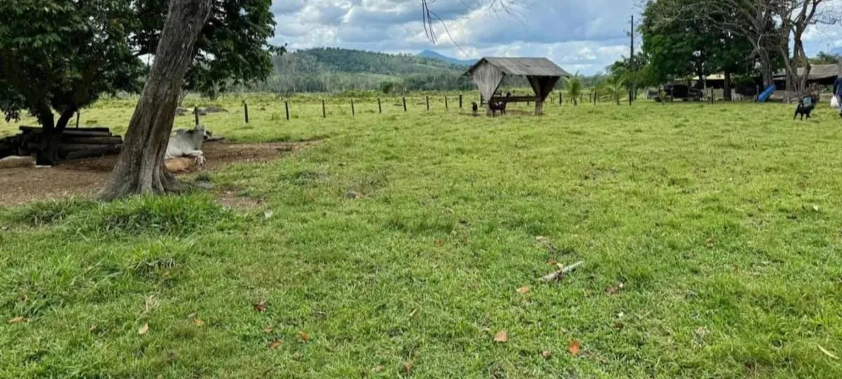VENDE-SE FAZENDA - REGIÃO DO AMAJARI<br>