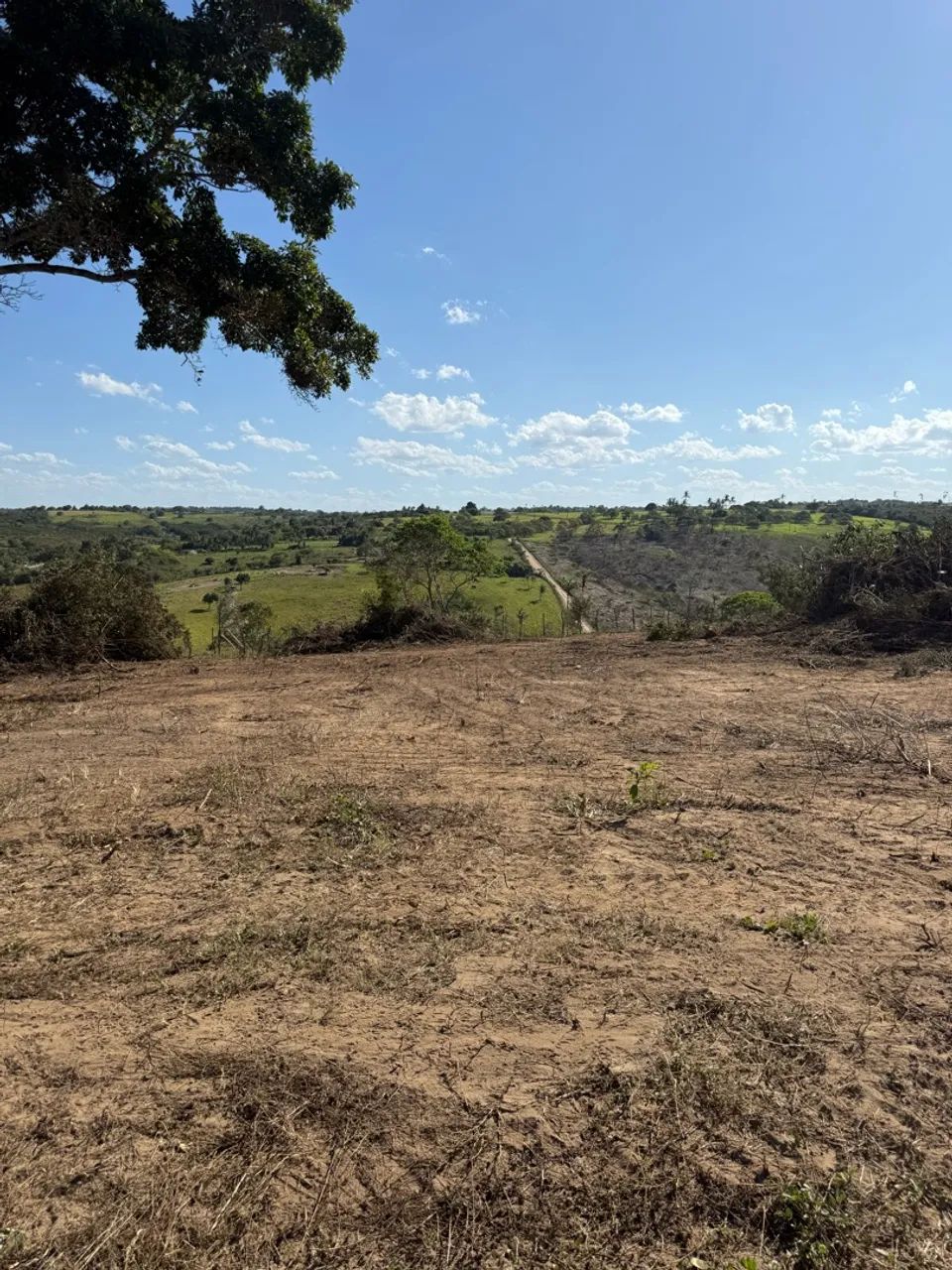 Lotes para Mini chácaras/ Lagoa Seca  - Foto 4