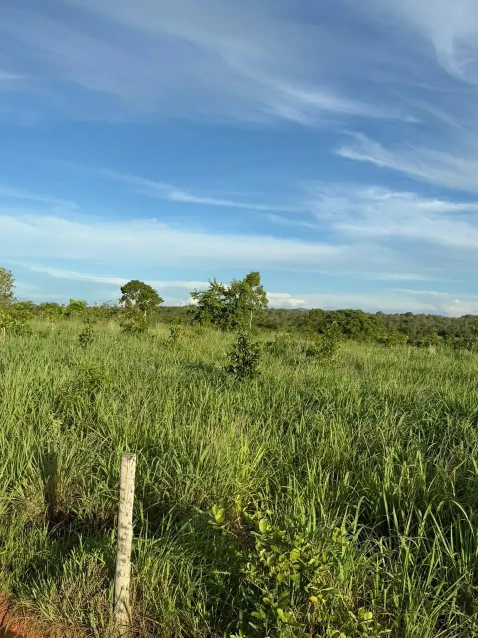 Imóvel  Zona Rural - Uruaçu - GO - Foto 2