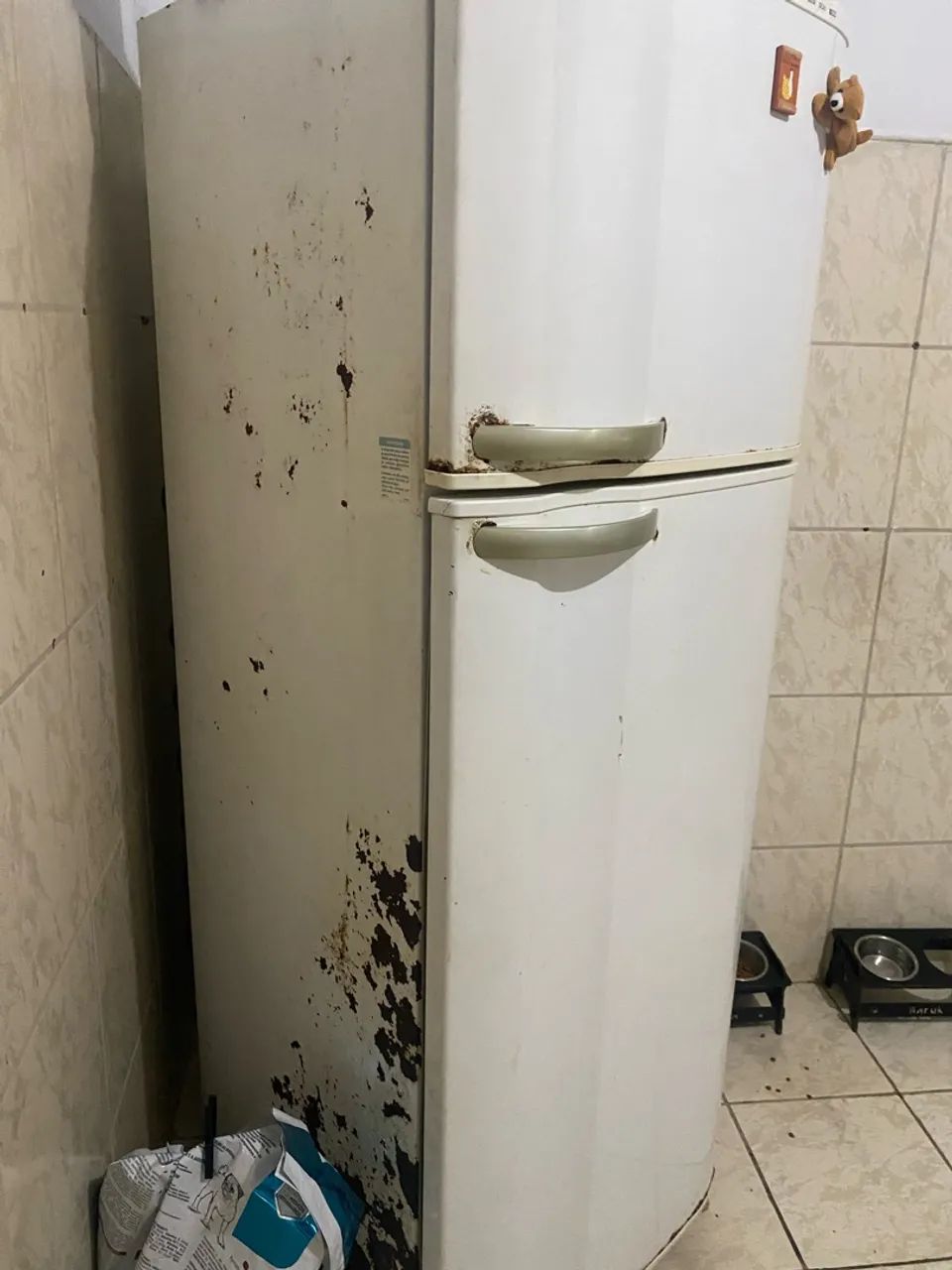 Geladeira  - Foto 2