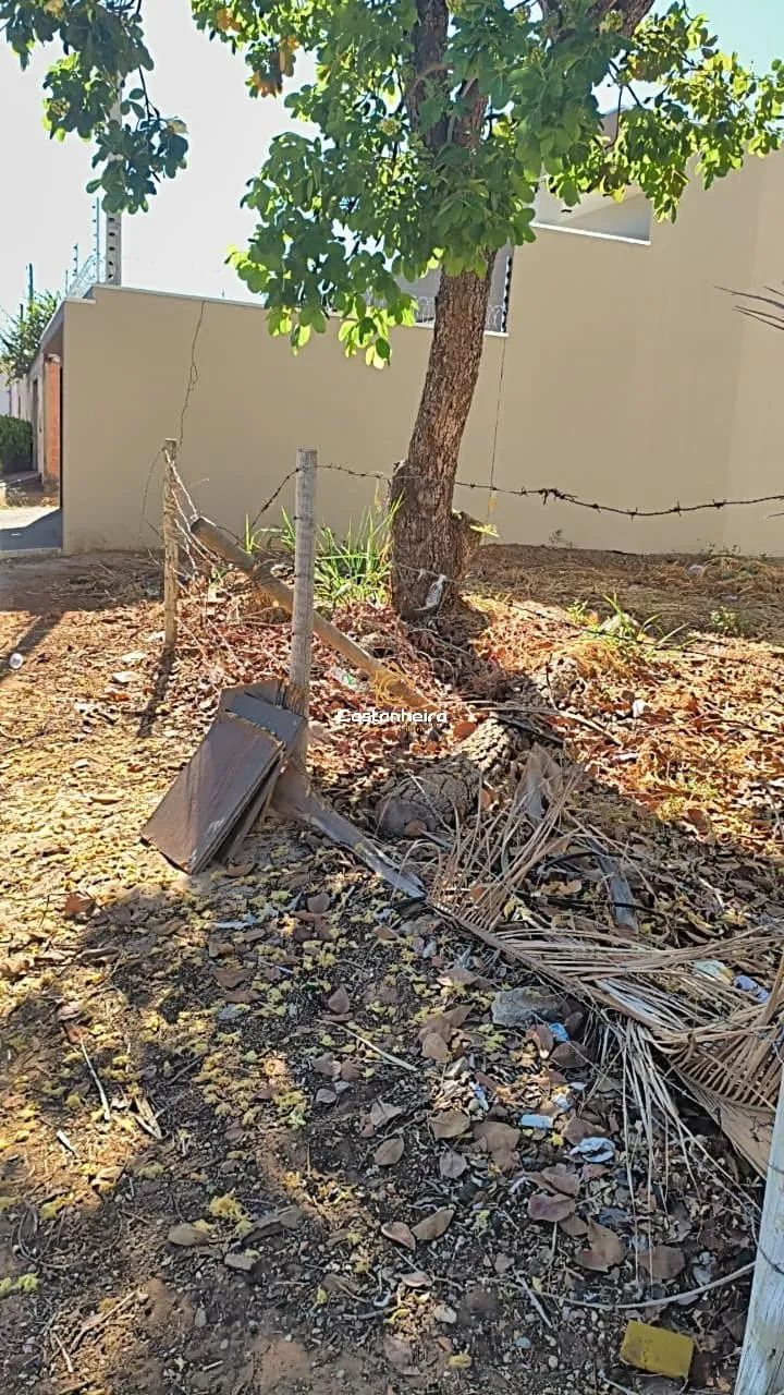 Lote Residencial - 360 m² - Plano Diretor Sul - Foto 4