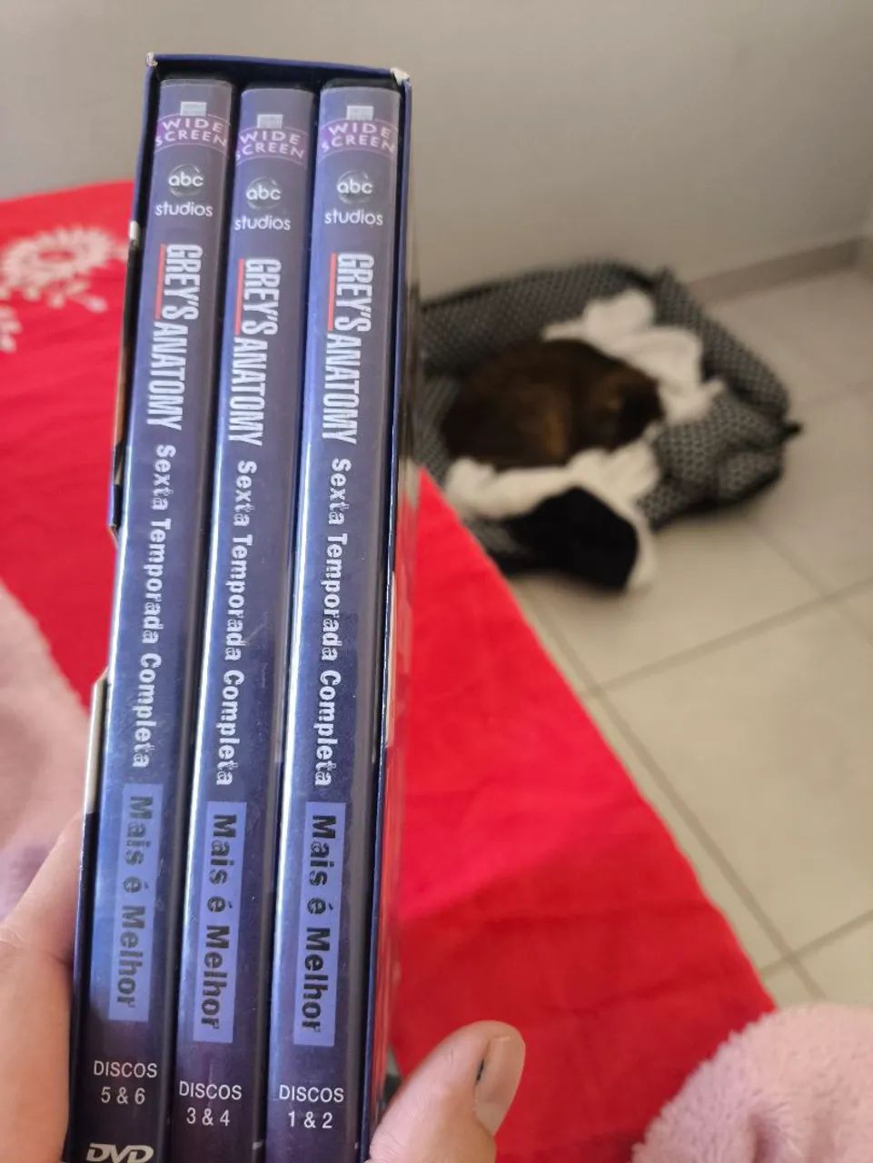 Box DVD Grey's Anatomy - Foto 5