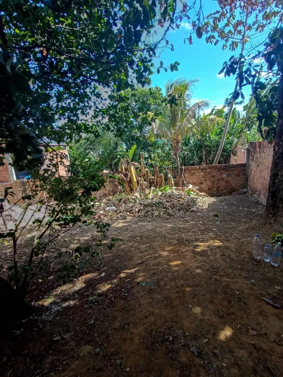Terreno Paripe - Foto 3