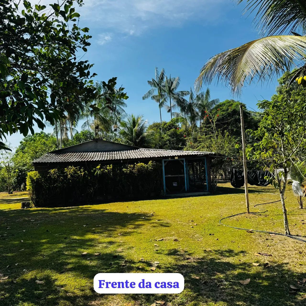 Vende-se sítio linda  - Foto 4