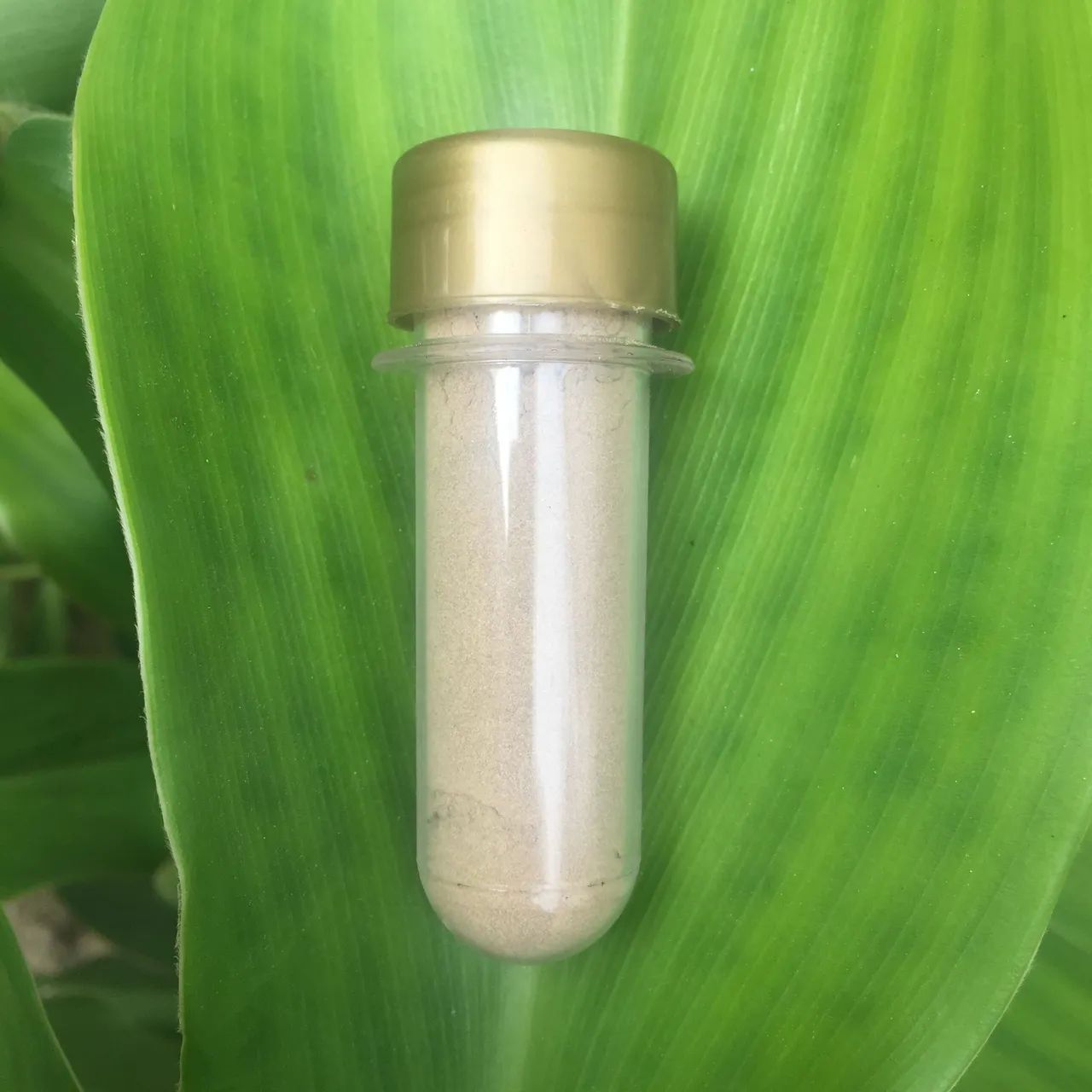 Medicina Indígena 20g 