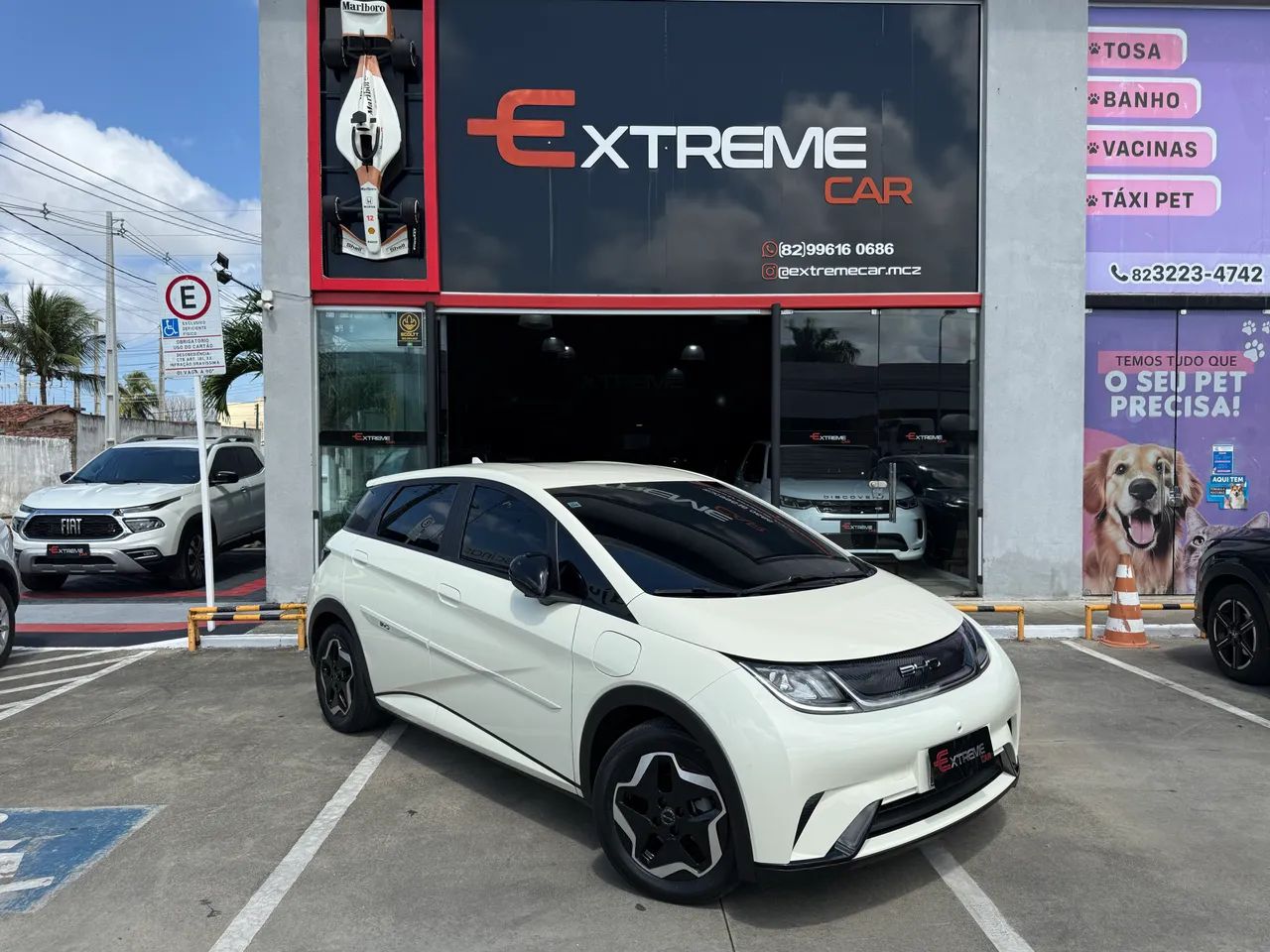 BYD Dolphin EV (Elétrico) 2025 - Foto 2