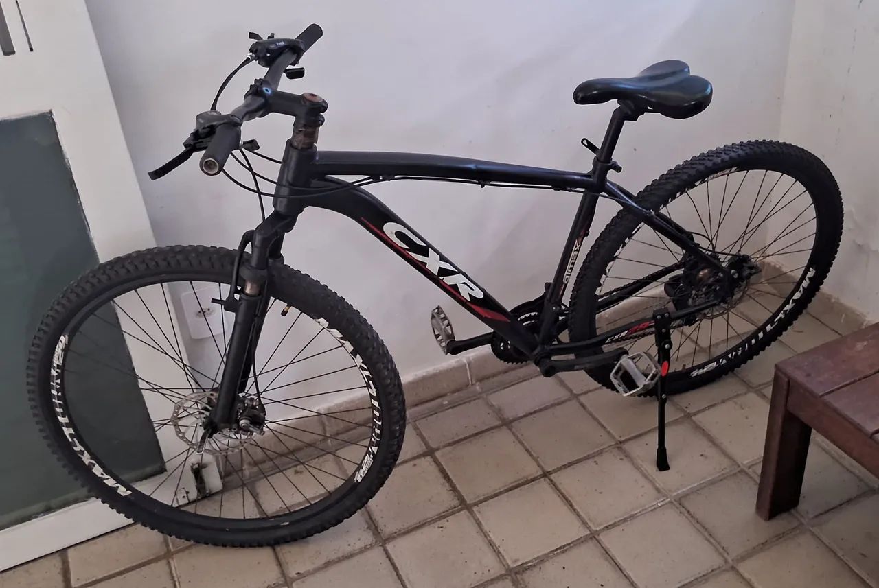 Bike Aro 29