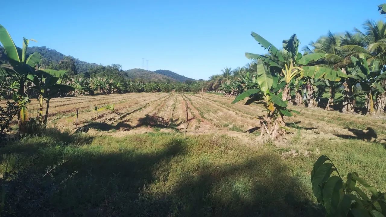 Cacheiras de Macacu 