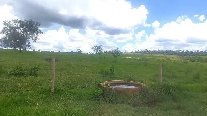 PECUÁRIA/ CANA - Área Rural 80 alqueires - Foto 3