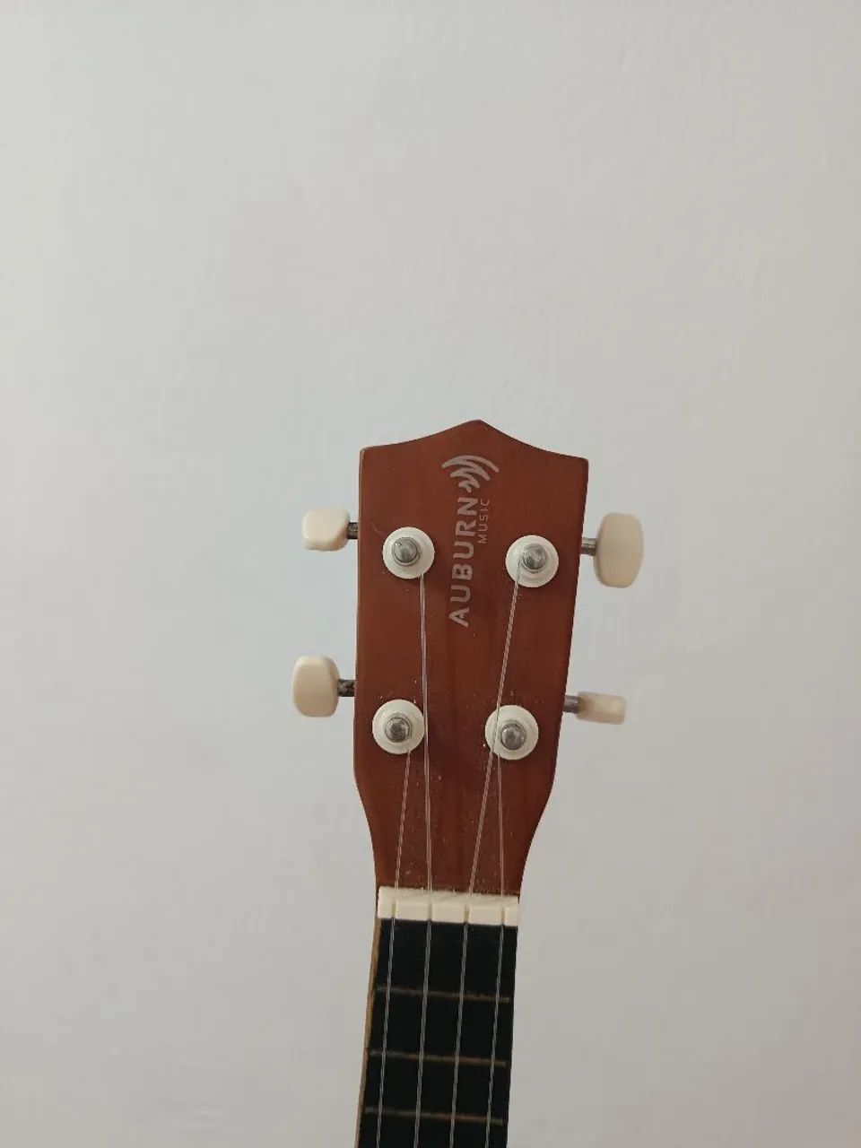 Ukulele 