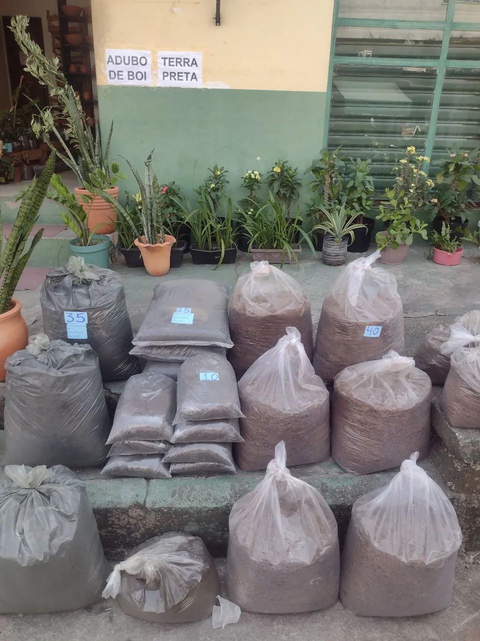 Terra preta  - Foto 3