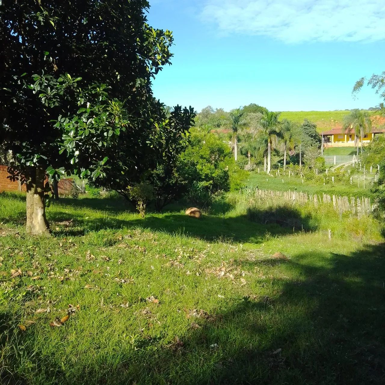 VENDO CHACARA EM PILAR DO SUL-SP - Foto 2
