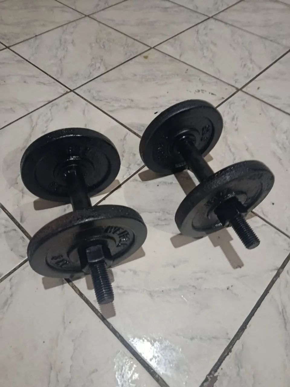 Par de halteres com 6/6 kg