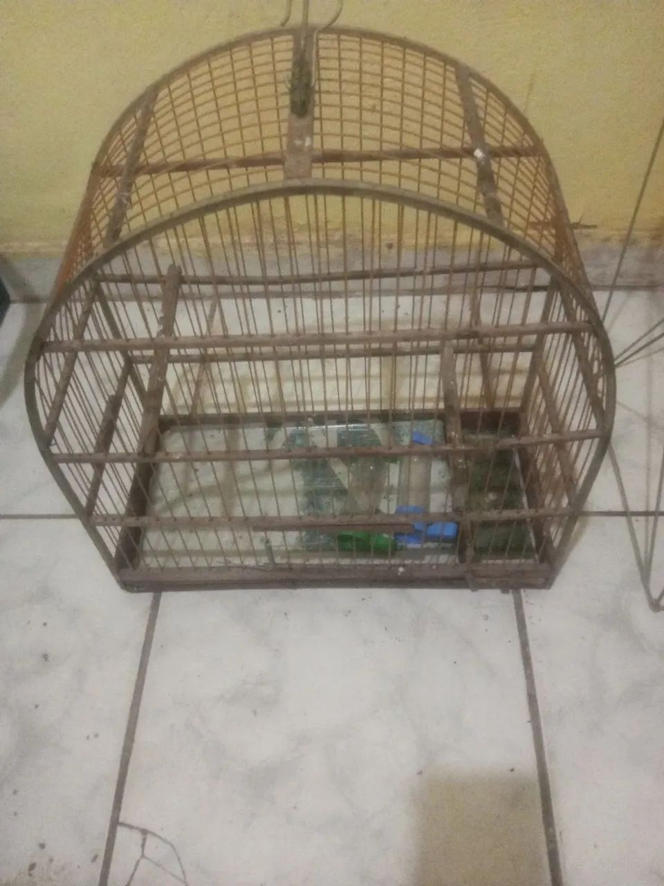 Viveiro para Calopsita e Periquito  - Foto 3