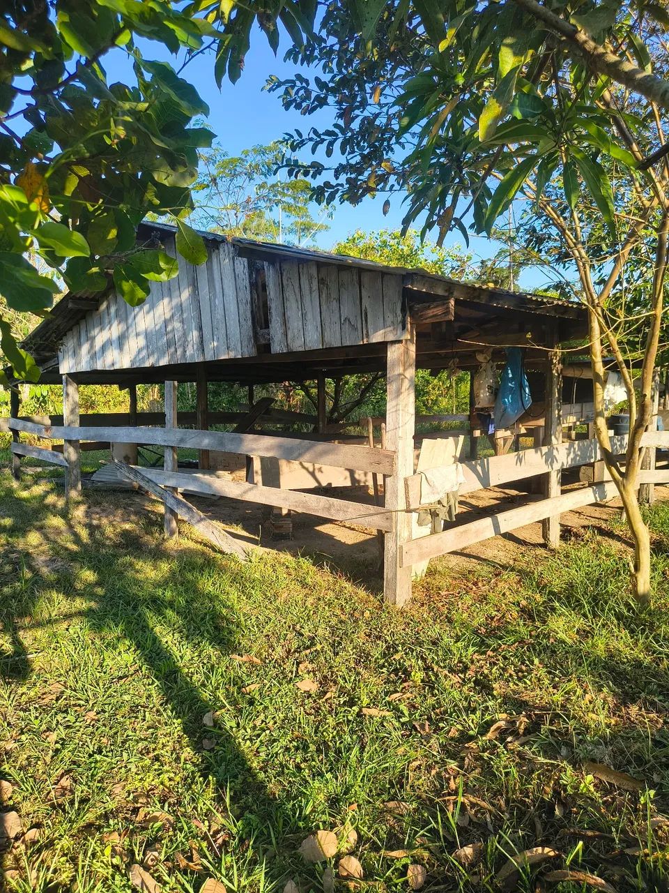 compra e venda  - Foto 3