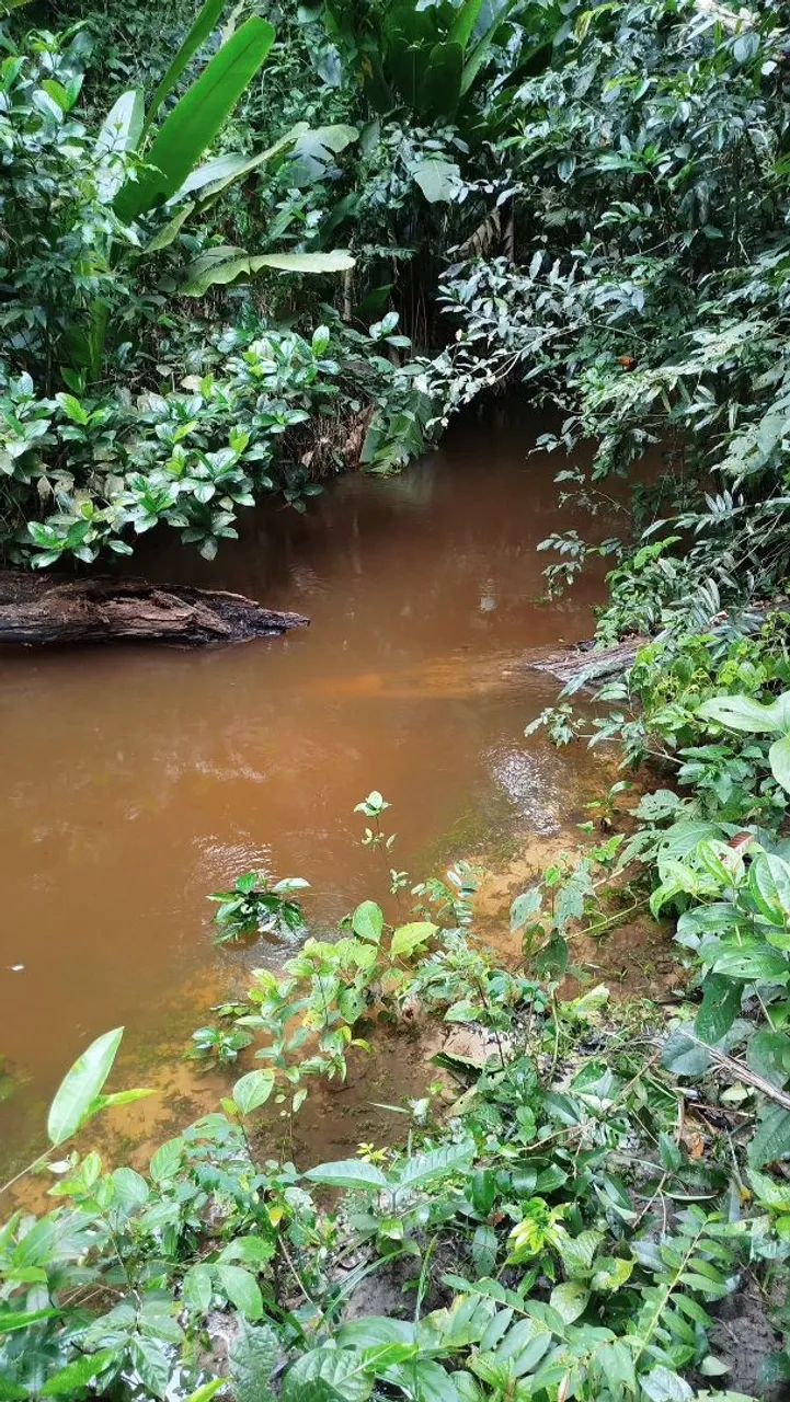 Chácaras na região do Coco Salviano - Foto 2