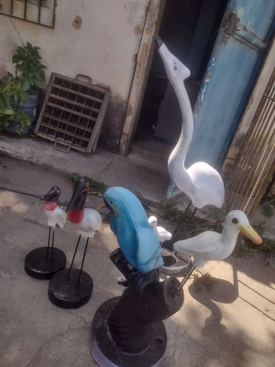 jardim 