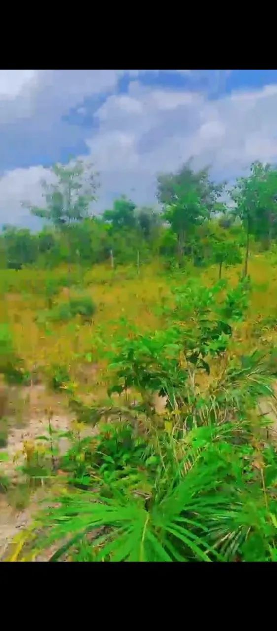 Terreno em Marudá  - Foto 4