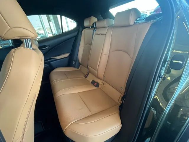Lexus UX-300h 2.0 16V Aut. (Híbrido), foto 18 de 20