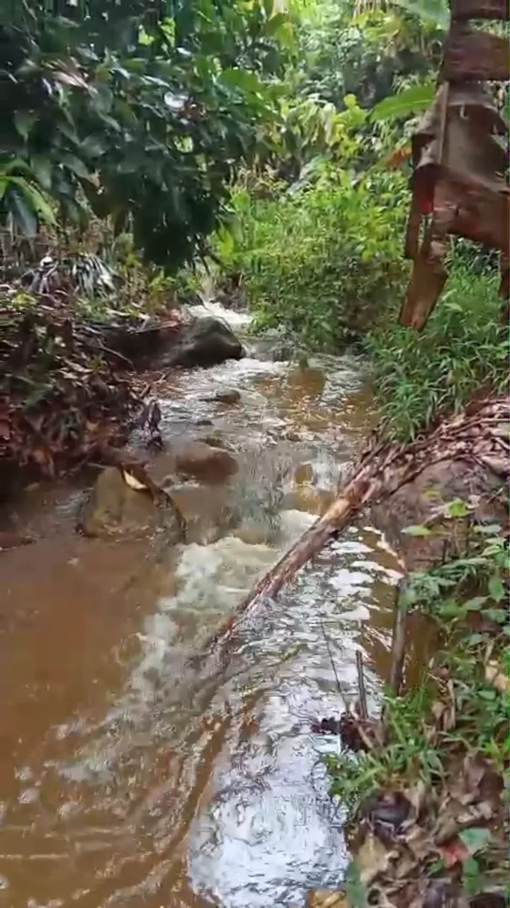 CHÁCARA STA LEOPOLDINA  - Foto 7