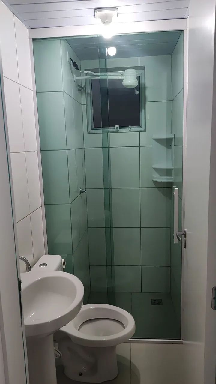 Foto - Araucária - Costeira