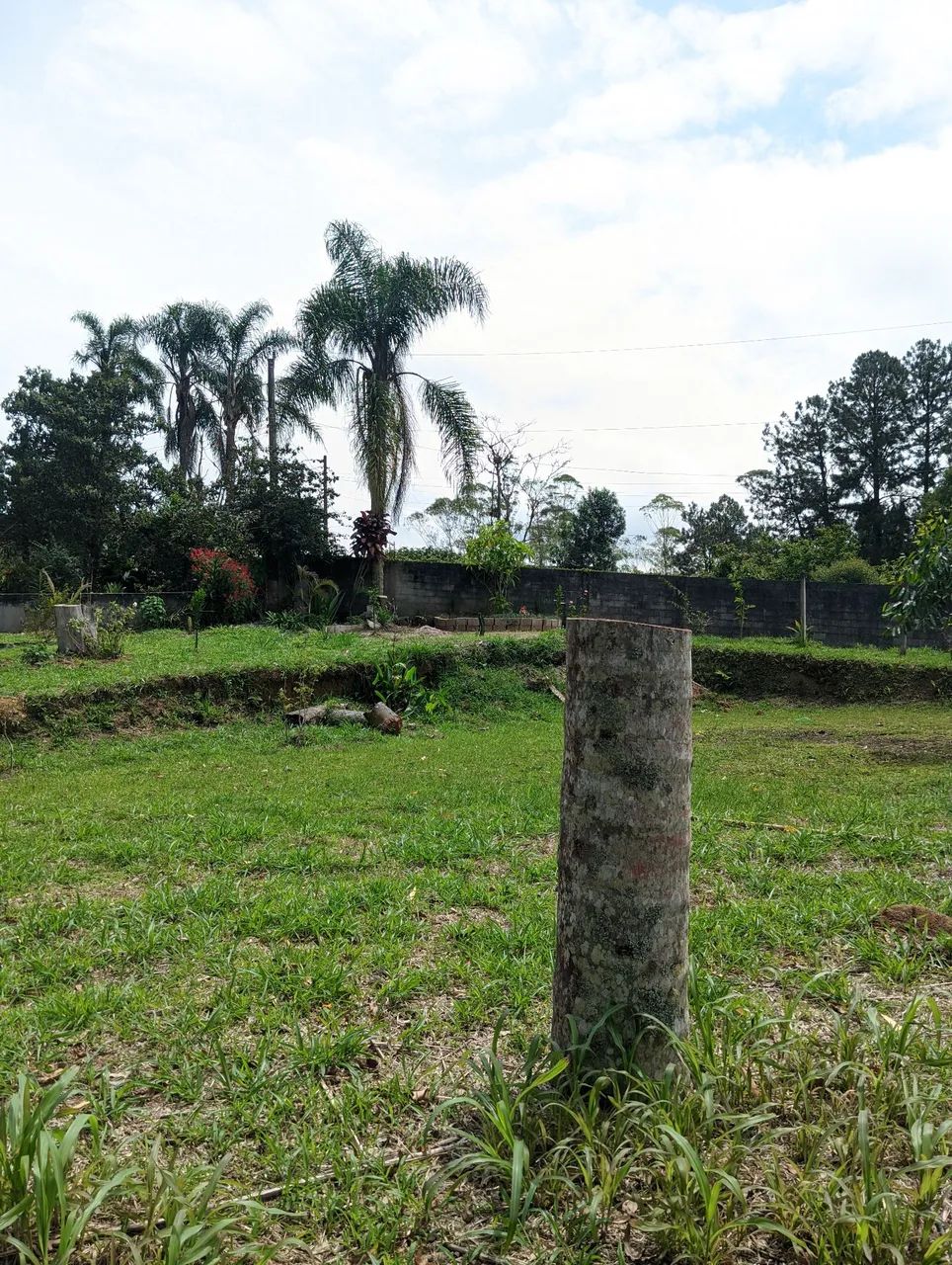 Chácara em estrada do 15, Marsilac. - Foto 4
