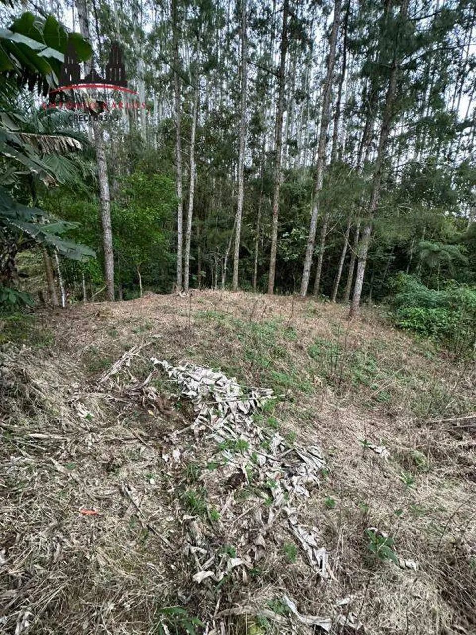 Sítio à venda no Egito, um refúgio em meio à natureza! - Foto 3