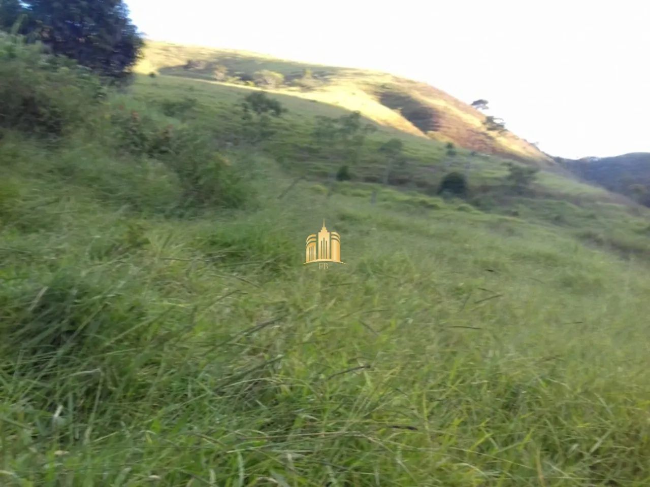 FAZENDA A VENDA CIDADE CARMÉSIA/MG - Foto 2