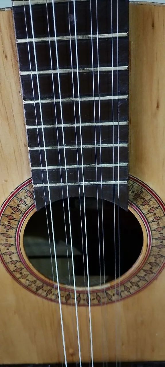 Viola caipira 