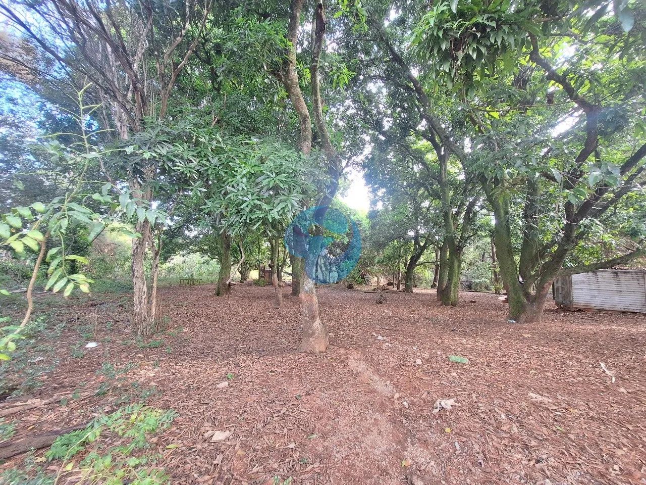 Área à venda em Sorocaba, no Bairro Ipatinga - Foto 3