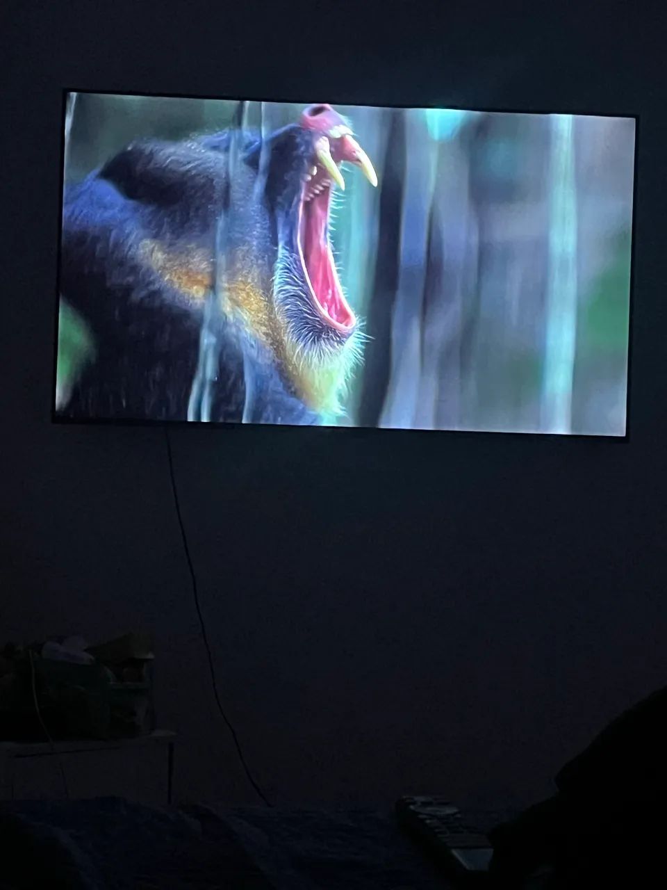 TV TCL SMART 55  - Foto 2
