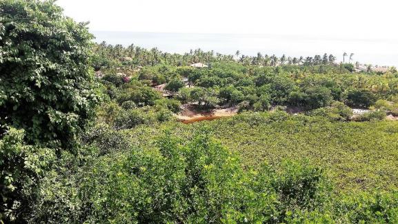 Terreno residencial à venda, Trancoso, Porto Seguro. - Foto 2