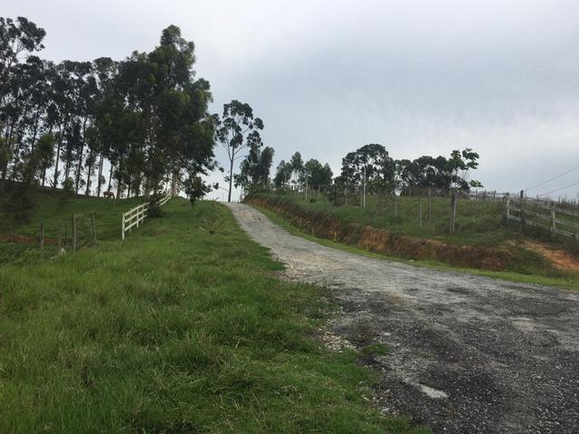 Sítio com 4 alqueires em Caxeta