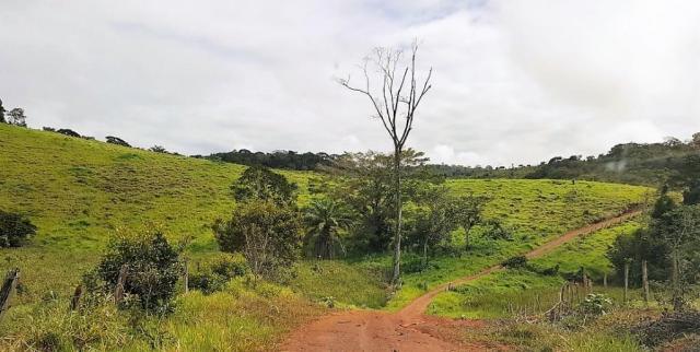 Fazenda 534 has em Tancredo Neves - Foto 4