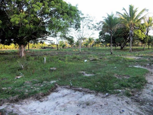 Terreno de 900 mil m2 em Porto Seguro - Foto 3