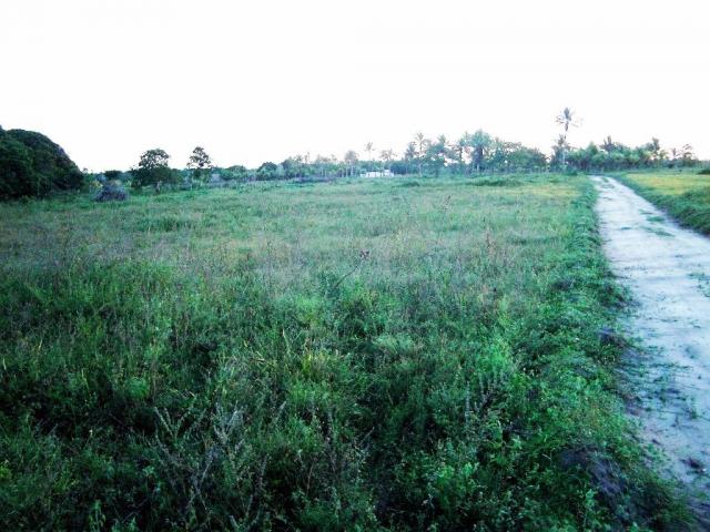 Terreno de 900 mil m2 em Porto Seguro - Foto 15
