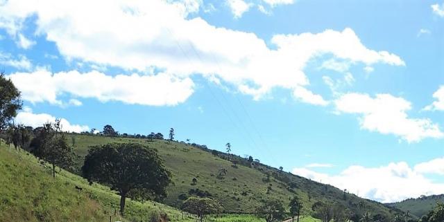 Fazenda Itagi 500 has - Foto 4