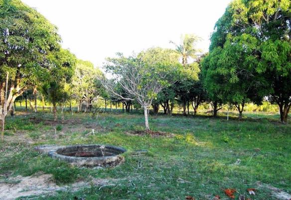 Terreno de 900 mil m2 em Porto Seguro - Foto 2