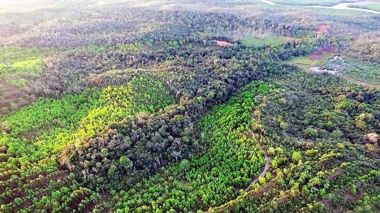 Fazenda em Igrapiuna com acesso ao mar - Foto 16