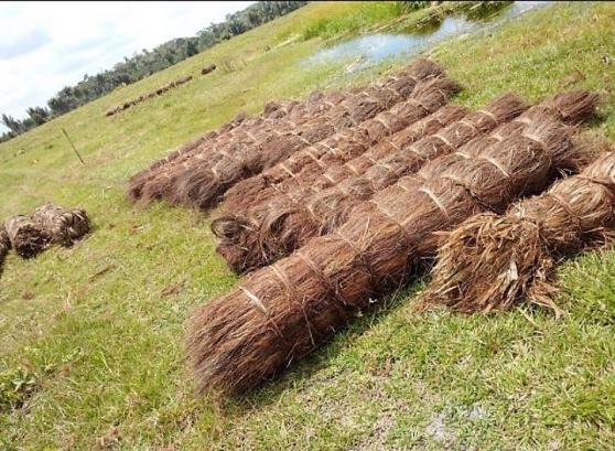 Fazenda em Mascote/BA 160 hectares - Foto 2