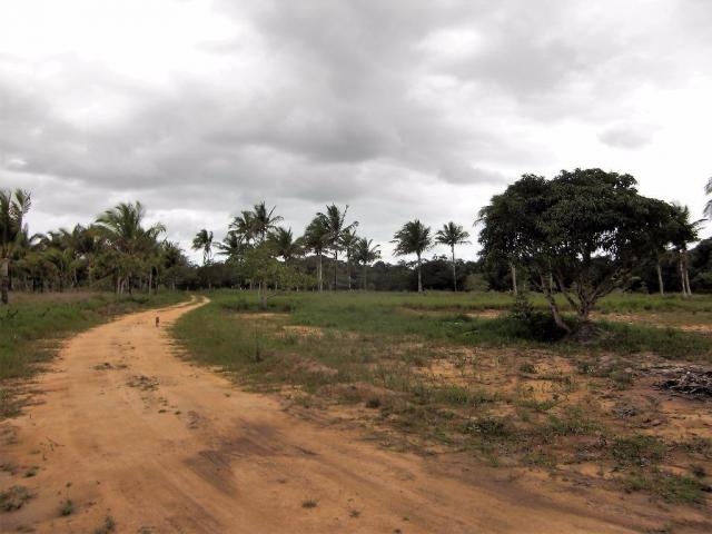 Terreno de 900 mil m2 em Porto Seguro - Foto 19