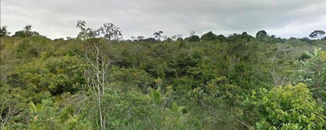 Terreno Arraial Trancoso 66 hectares