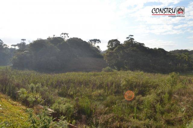 Terreno área de 12.100 m² r$ 2.200.000 - colônia rio grande - são josé dos pinhais/pr - Foto 11