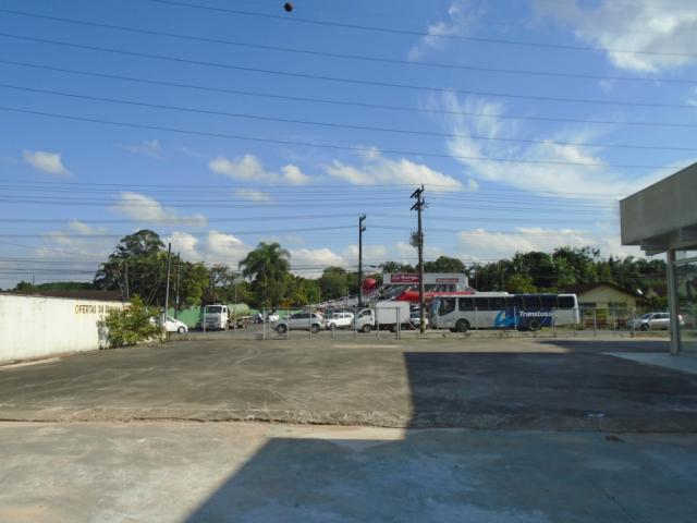 Terreno para alugar em Santo antonio, Joinville cod:08135.002 - Foto 11
