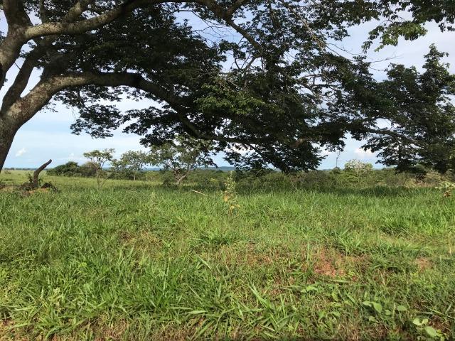 Fazenda 37,3 Alqueires ( 180,85 ha )- Nova Fátima-GO\Hidrolândia-GO - Foto 2