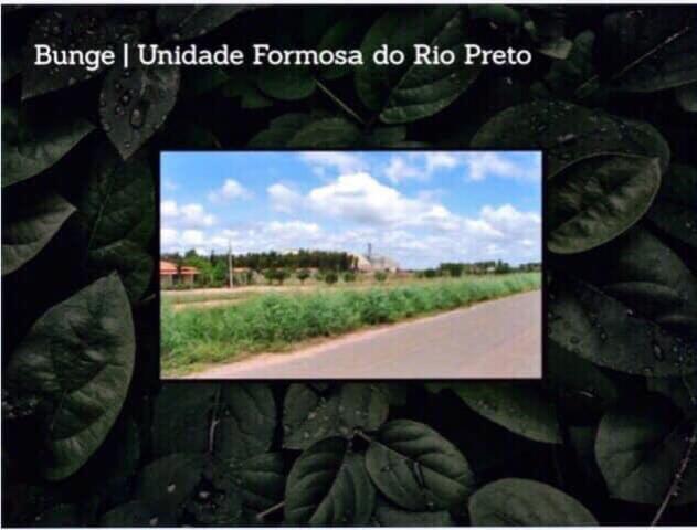 Fazenda na região de Formosa do Rio Preto-BA - Foto 10