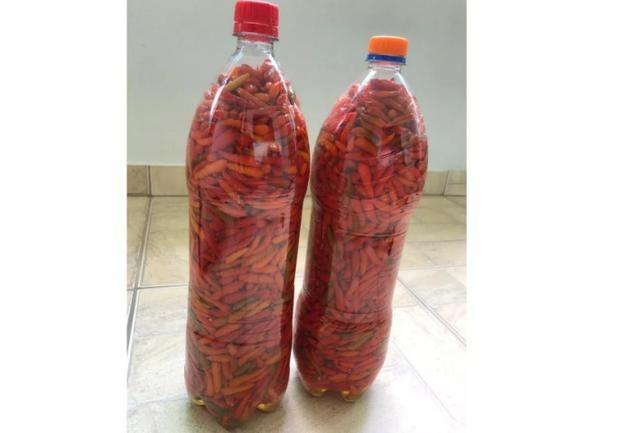 Pimenta malagueta