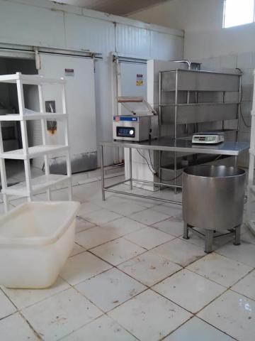 Sitio22ha com laticínio - Foto 12
